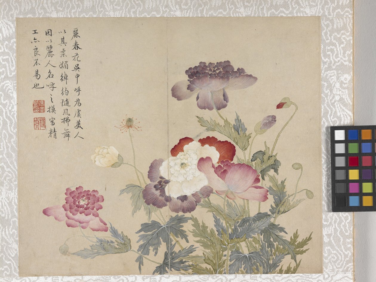 8 叶花卉册，17 世纪中期（纸张上的墨水和色彩） 作者 学校中文