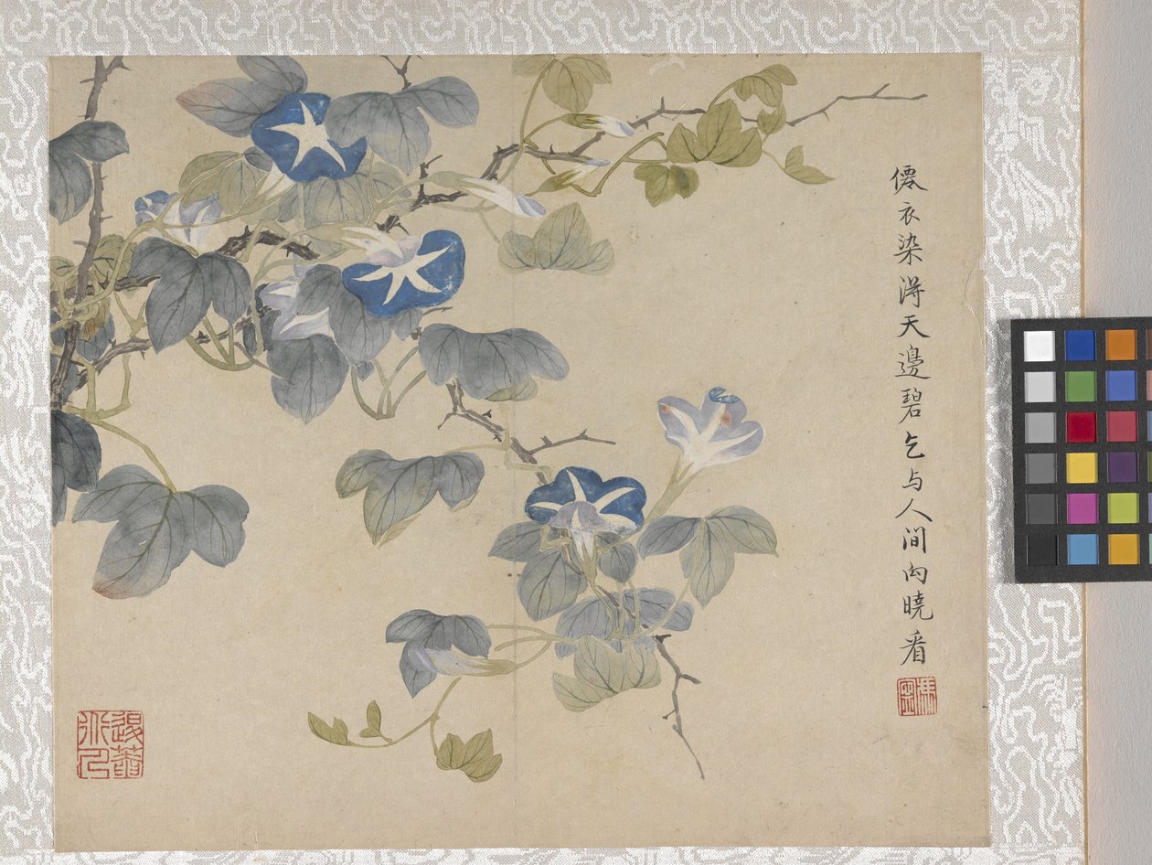 8 叶花卉册，17 世纪中期（纸张上的墨水和色彩） 作者 学校中文