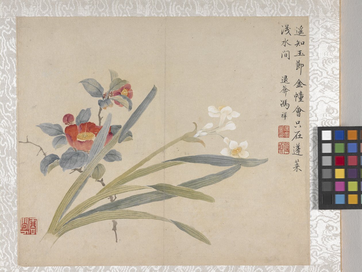 8 叶花卉册，17 世纪中期（纸张上的墨水和色彩） 作者 学校中文