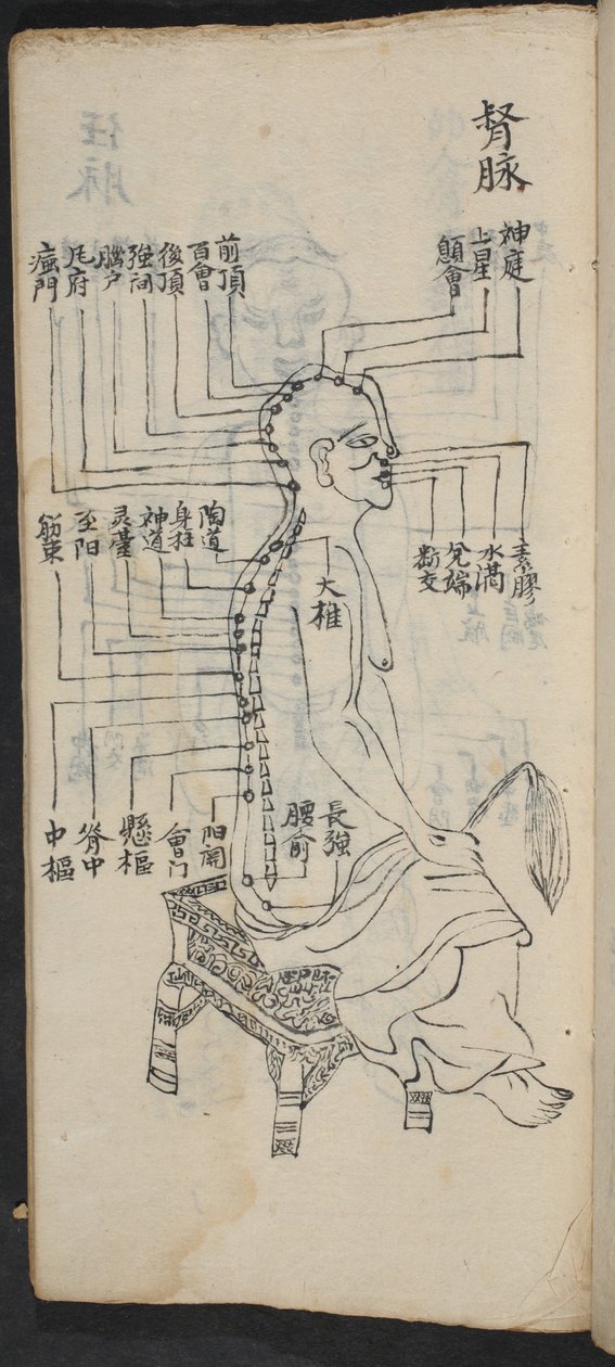 脊椎和头部的穴位，出自经关七志，《穴位与经络的始末》，pub。 中国南方，18 世纪初（纸本水墨） 作者 学校中文