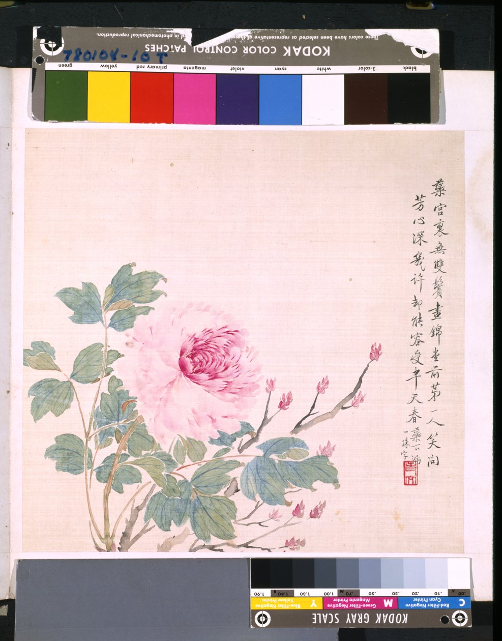 花鸟册》，日期不详（绢本水墨和彩色） 作者 学校中文