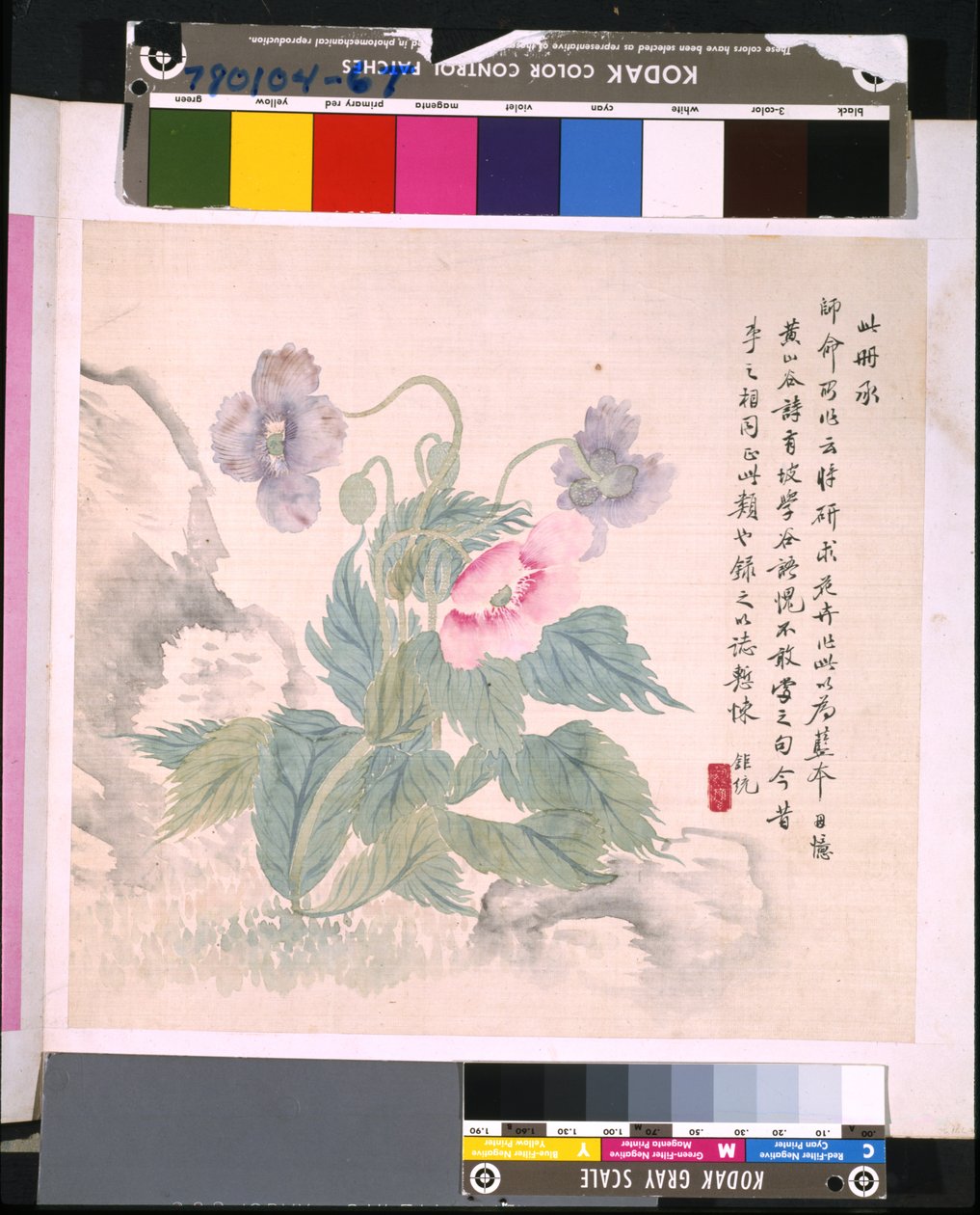 花鸟册》，日期不详（绢本水墨和彩色） 作者 学校中文