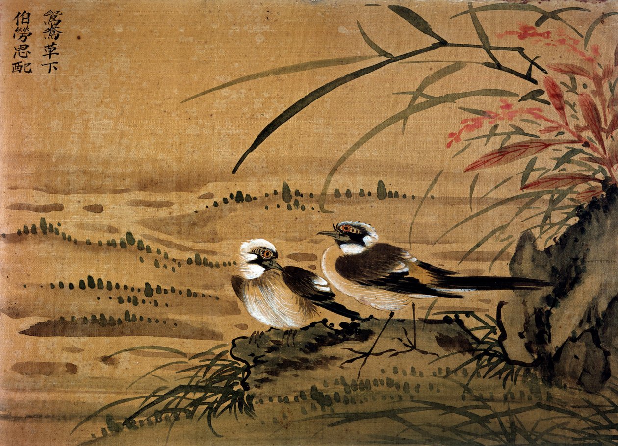 艺术中国。鸟类。16世纪Li youen kien的丝绸画。巴黎，BN 作者 学校中文