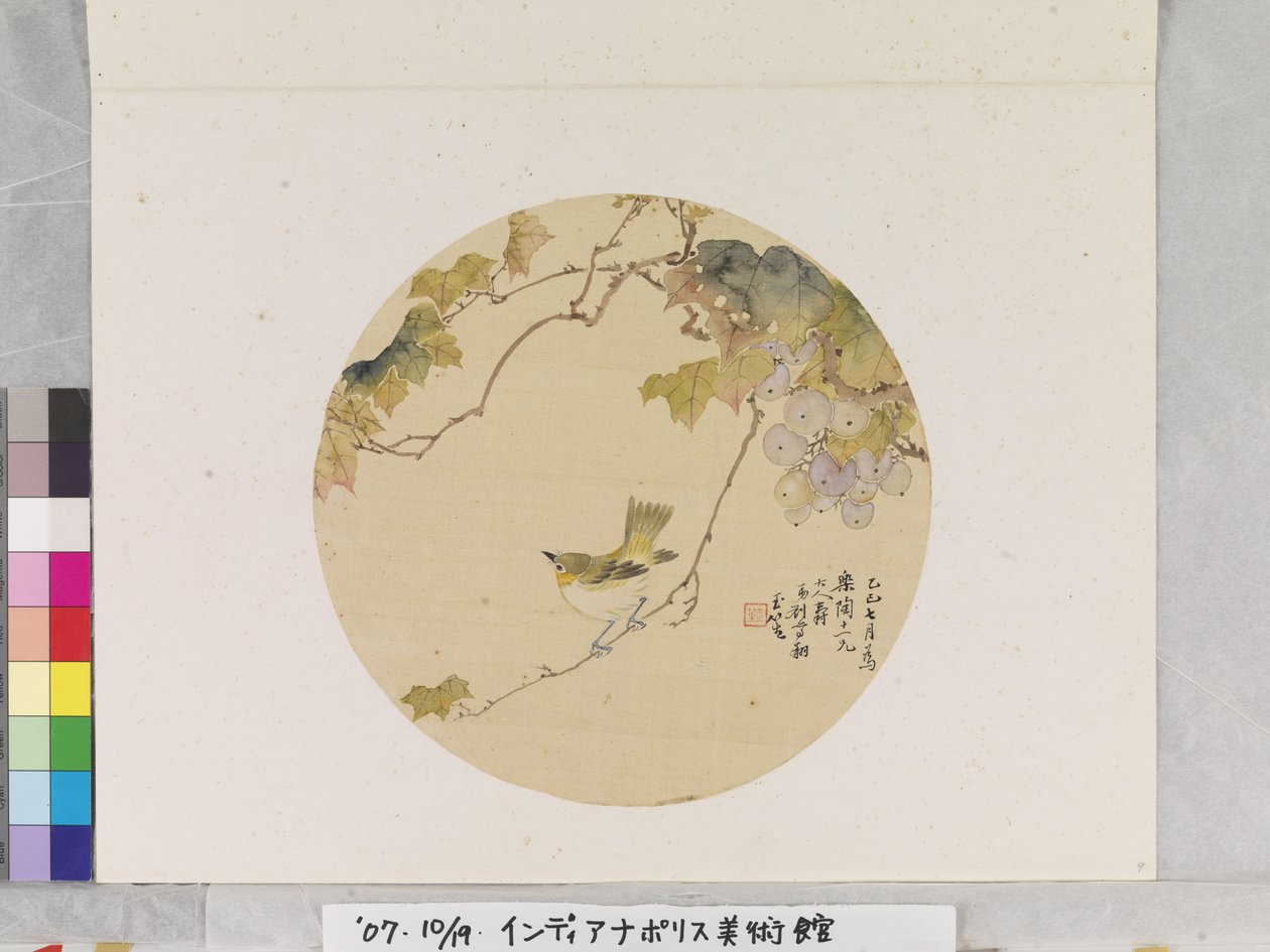 葡萄枝上的小鸟 作者 学校中文