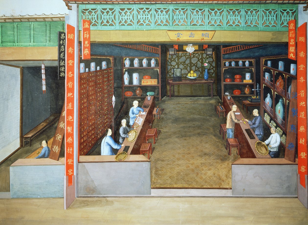 中药》，约 1830 年（纸本水粉画） 作者 学校中文