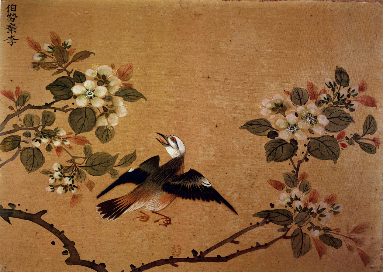 中国艺术：花鸟。 16世纪丝绸画。 巴黎，B.N. 作者 学校中文