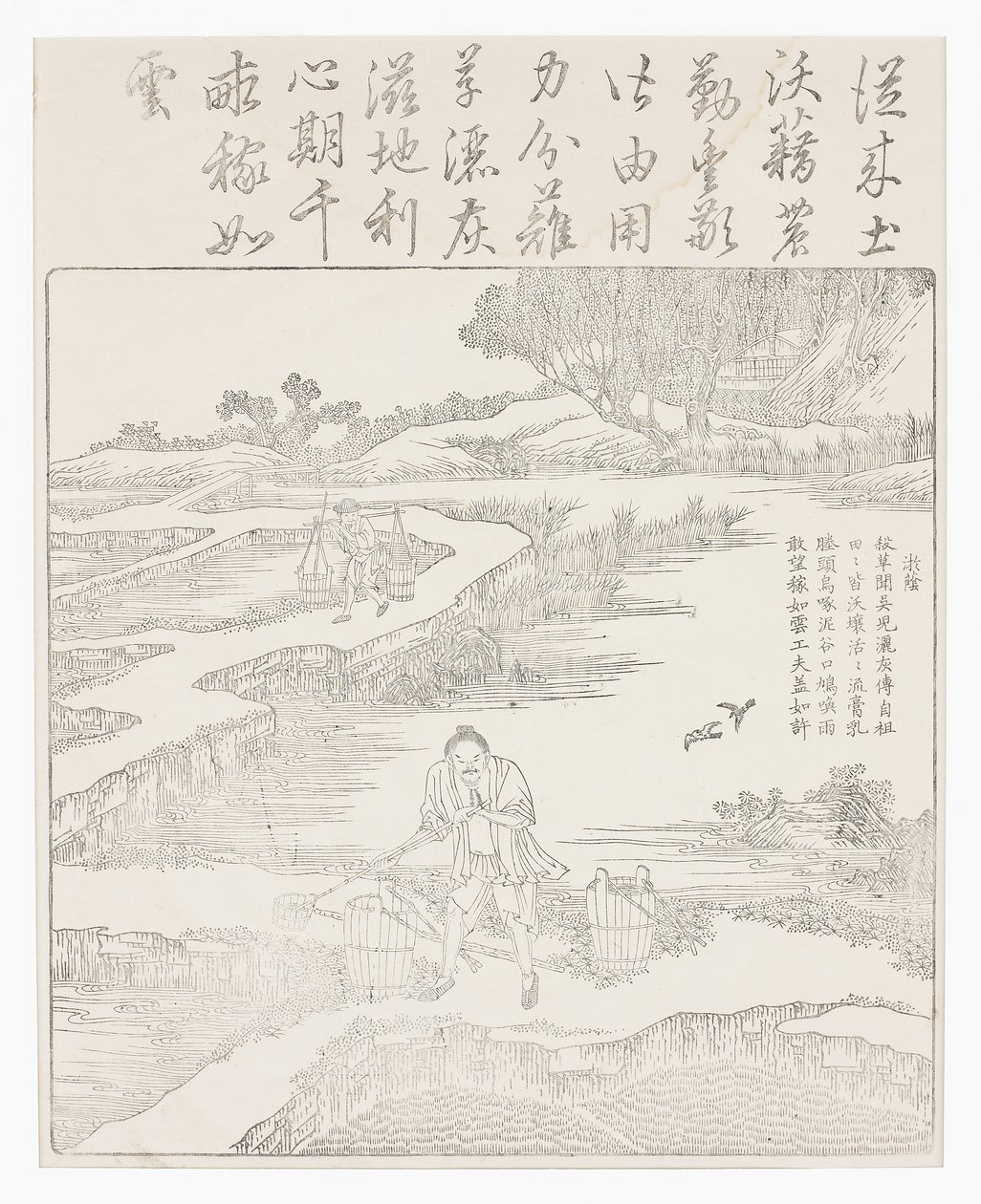 给水稻幼苗施肥 作者 学校中文