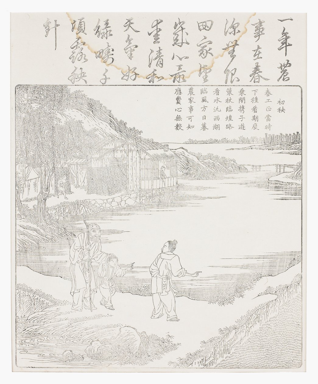 第一次发芽水稻 作者 学校中文