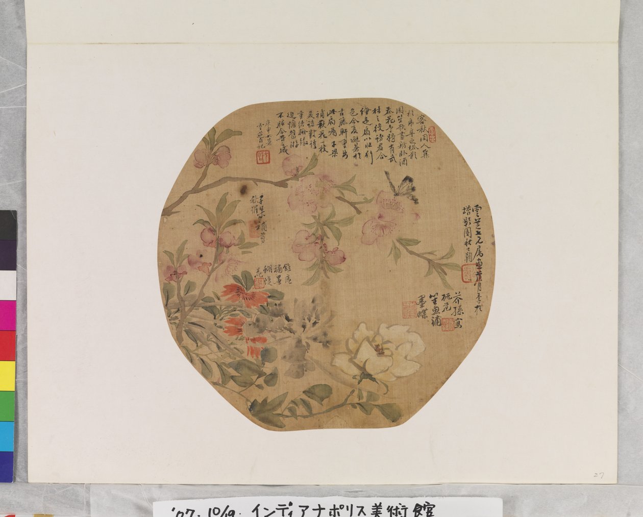 花朵和蝴蝶 作者 学校中文
