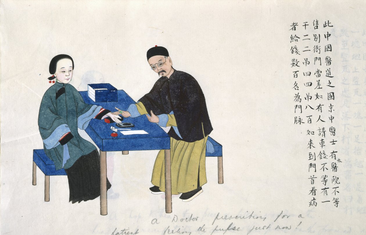 或 11539 fol.89v 脉搏，选自中国生活场景画册（纸面水彩画） 作者 学校中文