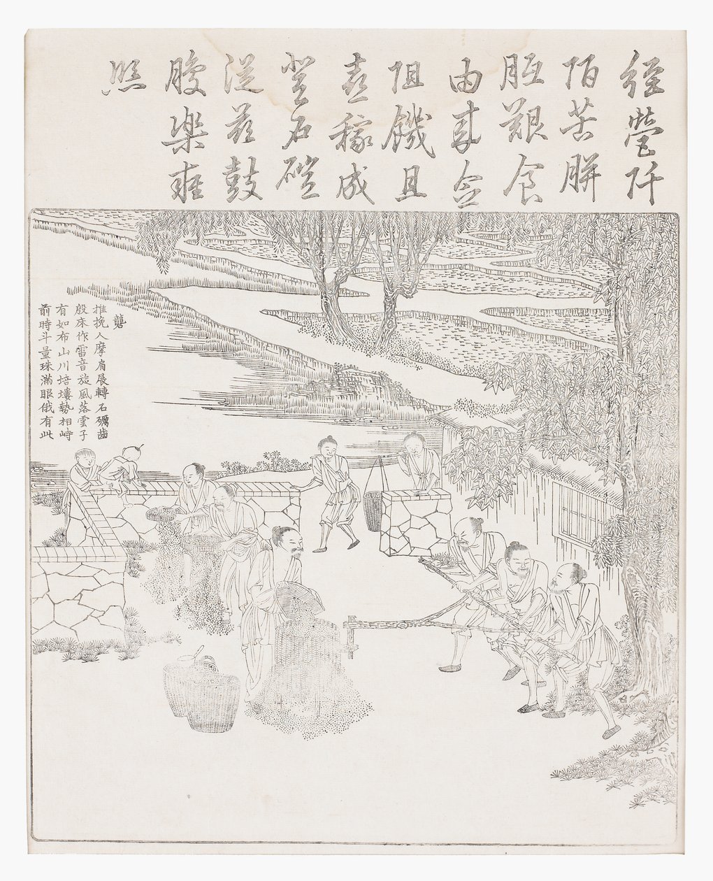 大米抛光 作者 学校中文