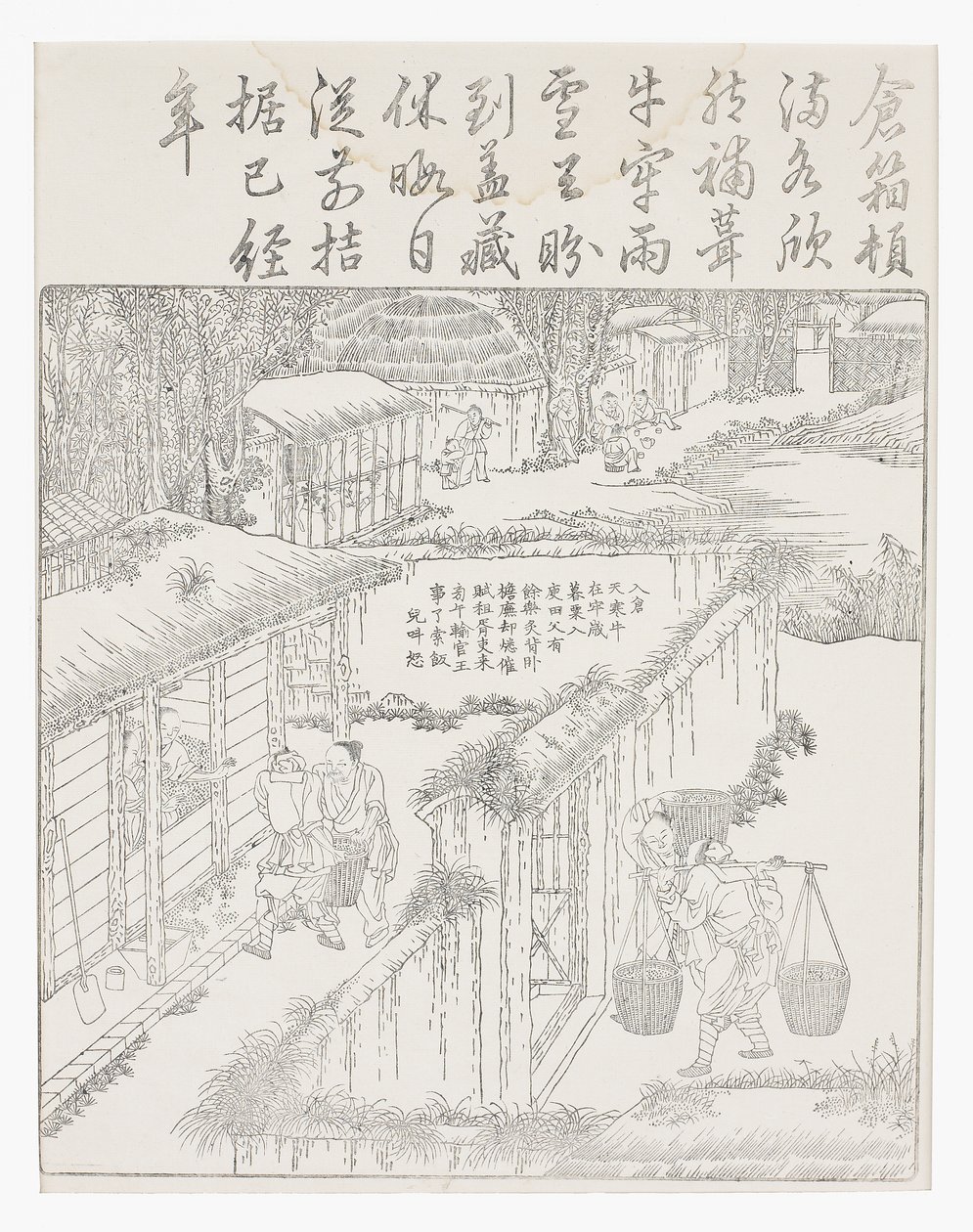储存大米 作者 学校中文