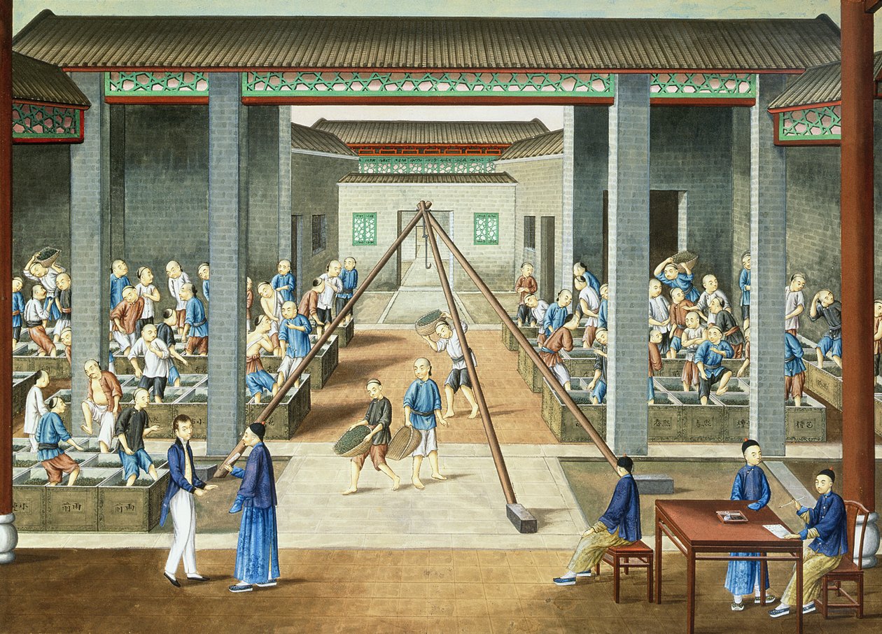 茶文化：称重和购买茶叶（纸上水粉画） 作者 学校中文