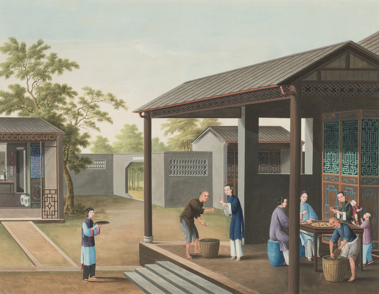 茶叶生产，约 1820 年（绢上体彩和金彩，铺在纸上） 作者 学校中文