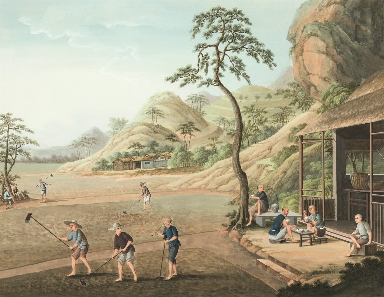茶叶生产，约 1820 年（绢上体彩和金彩，铺在纸上） 作者 学校中文