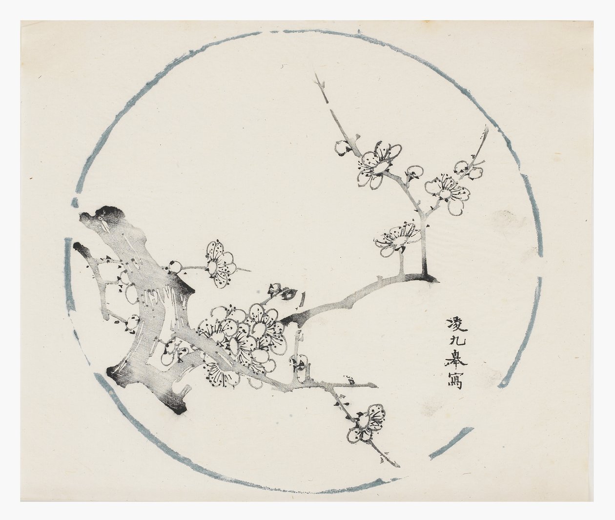 十竹系列 作者 学校中文