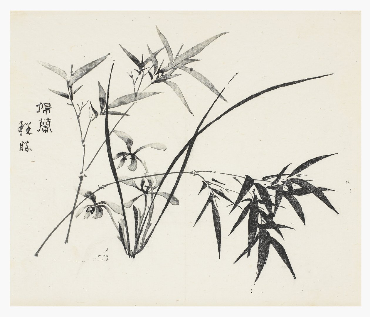 十竹系列 作者 学校中文