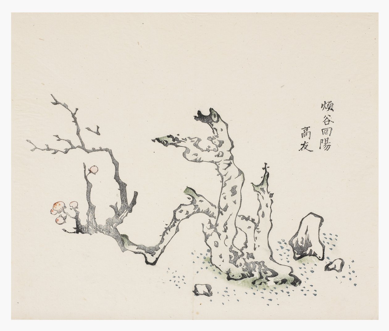 十竹系列 作者 学校中文