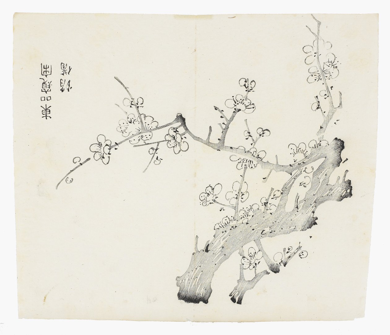 十竹系列 作者 学校中文
