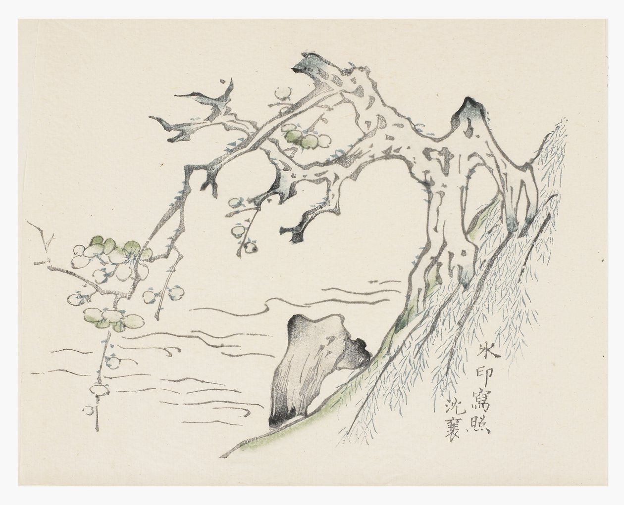 十竹系列 作者 学校中文