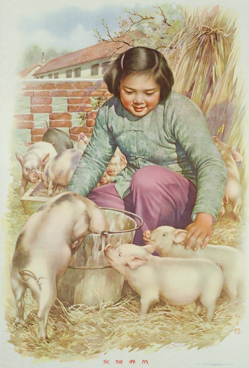 中国文化大革命时期的宣传画《养猪女工》（或《养猪丈夫》）（彩色石版画） 作者 学校中文