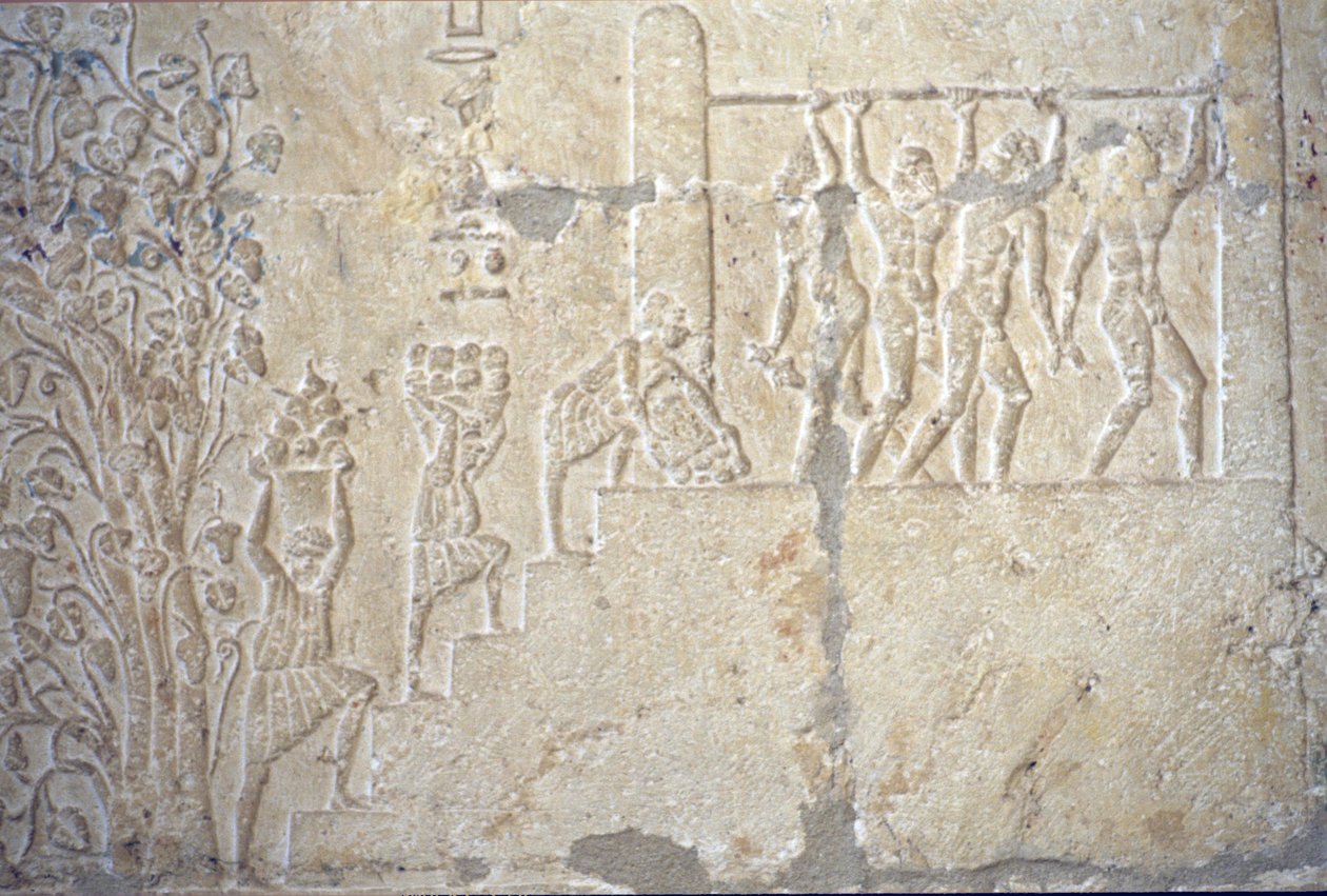 公元前 300 年，古埃及，壁雕/绘画，佩托西里斯墓，Tuna el Gebel，葡萄酒收获，葡萄酒酿造，葡萄酒压榨机（照片） 作者 埃及学校