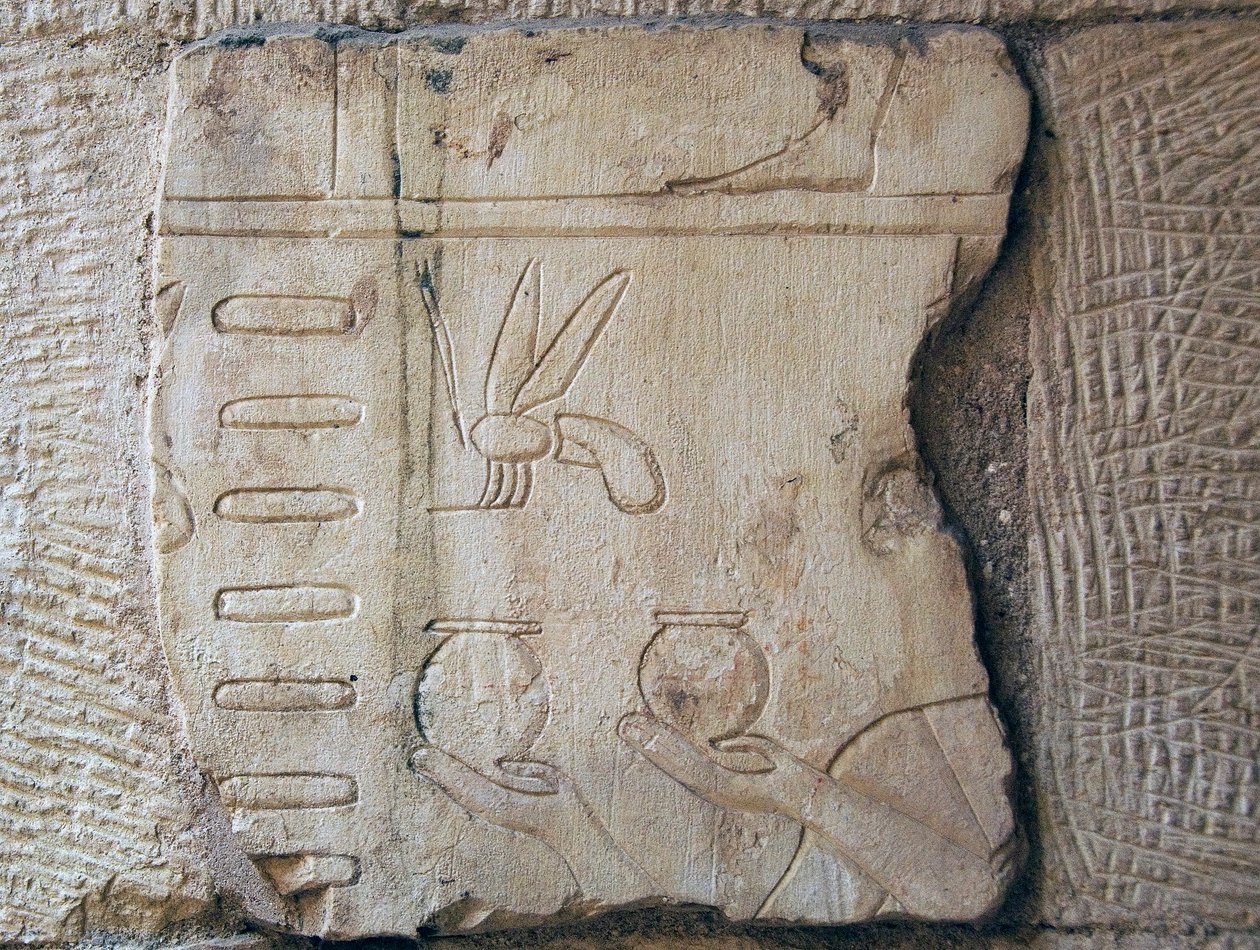 Detail of a Relief, Luxor (stone) 作者 埃及学校