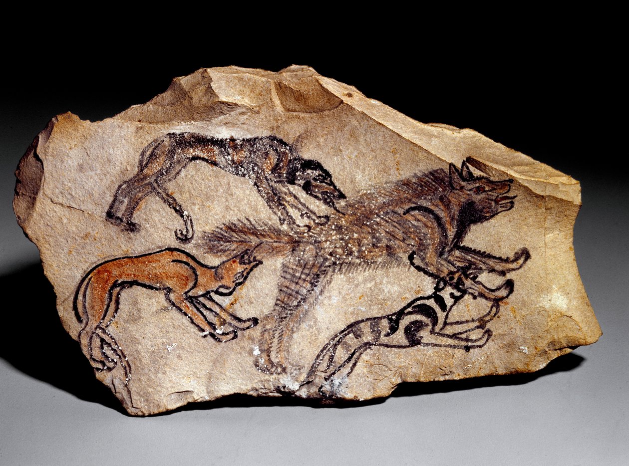 狗猎杀鬣狗（石刻，约公元前1300-1100年）。 作者 埃及学校