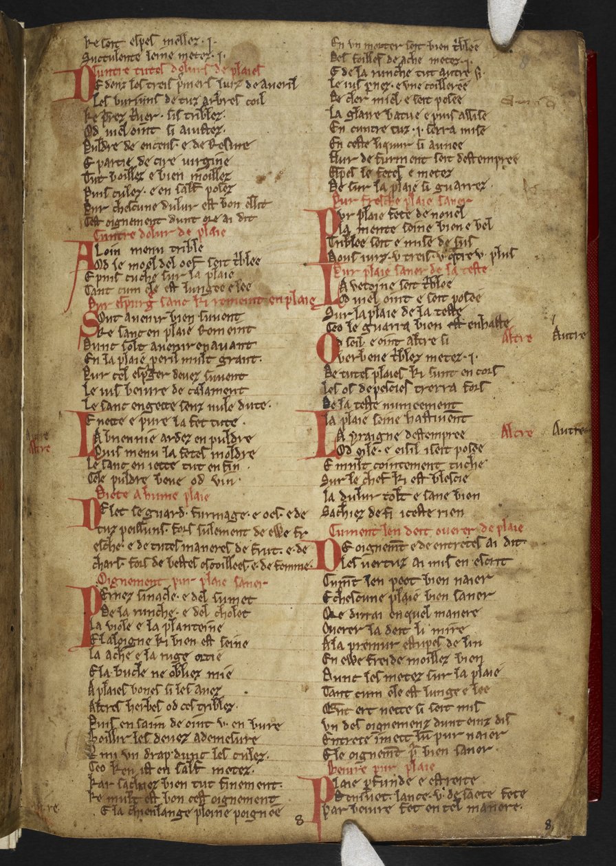 哈雷 MS 2558 f.8r，Novele cirurgerie，节选（365 行）。盎格鲁诺曼诗歌医方集（牛皮纸） 作者 学校英语