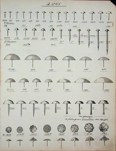 钉子、大头针和大头钉，来自国内商品和配件的贸易目录，约1890-1910年（平印）。 作者 学校英语