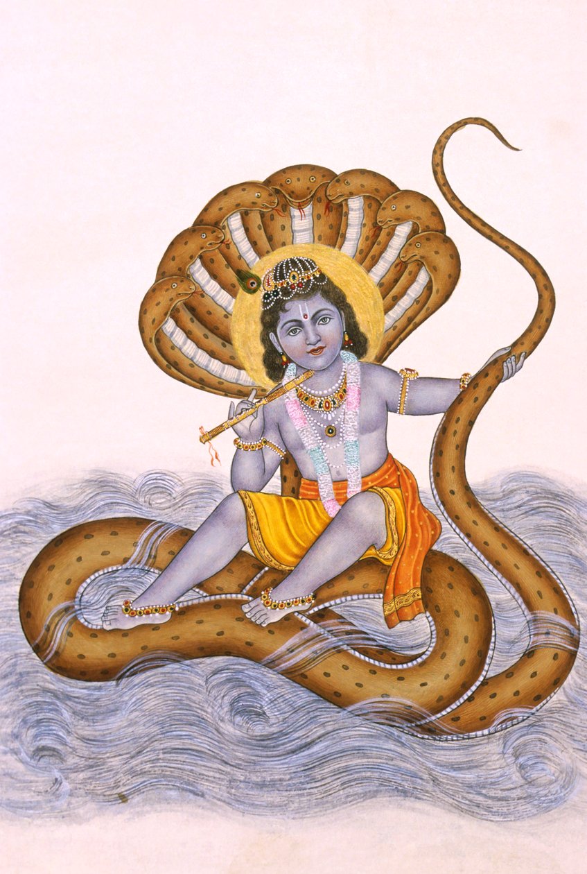 纸上巴尔-克里希纳神微缩画 作者 印度学校