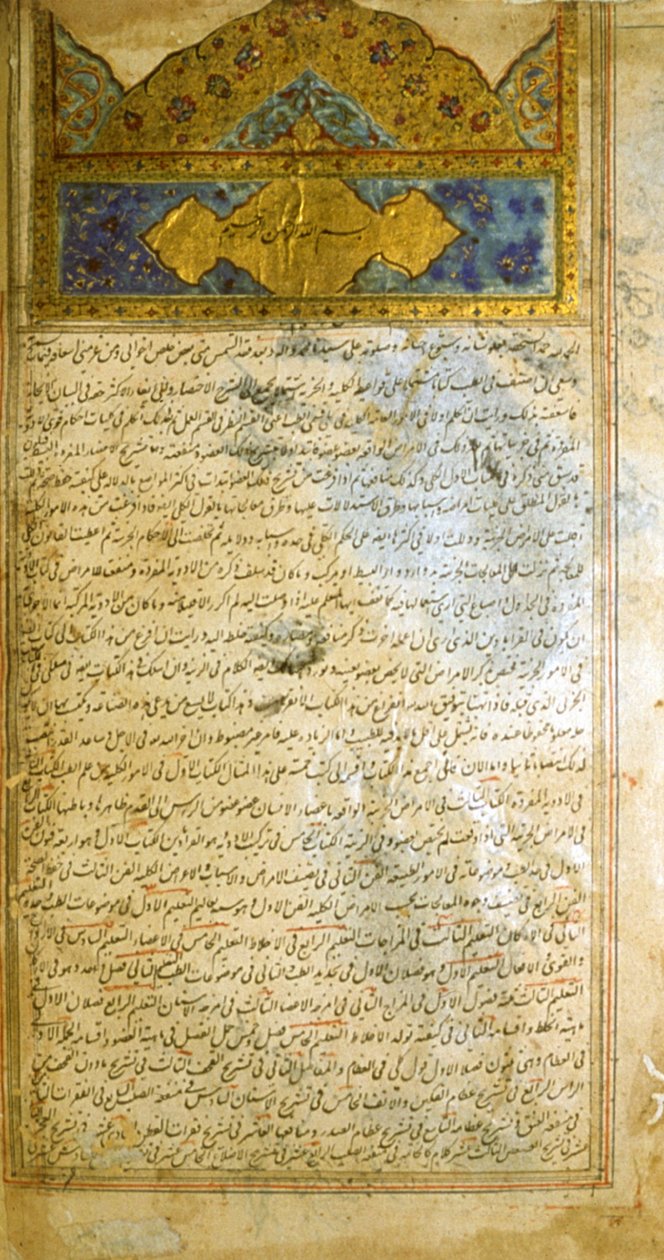 摘自阿维森纳《医学正典》(al-Qānūn fī aṭ-Ṭibb) 的页面 作者 学校伊朗人