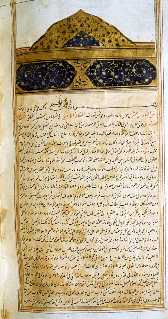 摘自阿维森纳《医学正典》(al-Qānūn fī aṭ-Ṭibb) 的页面 作者 学校伊朗人