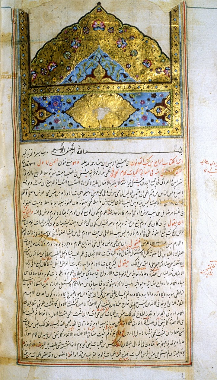 摘自阿维森纳《医学正典》(al-Qānūn fī aṭ-Ṭibb) 的页面 作者 学校伊朗人