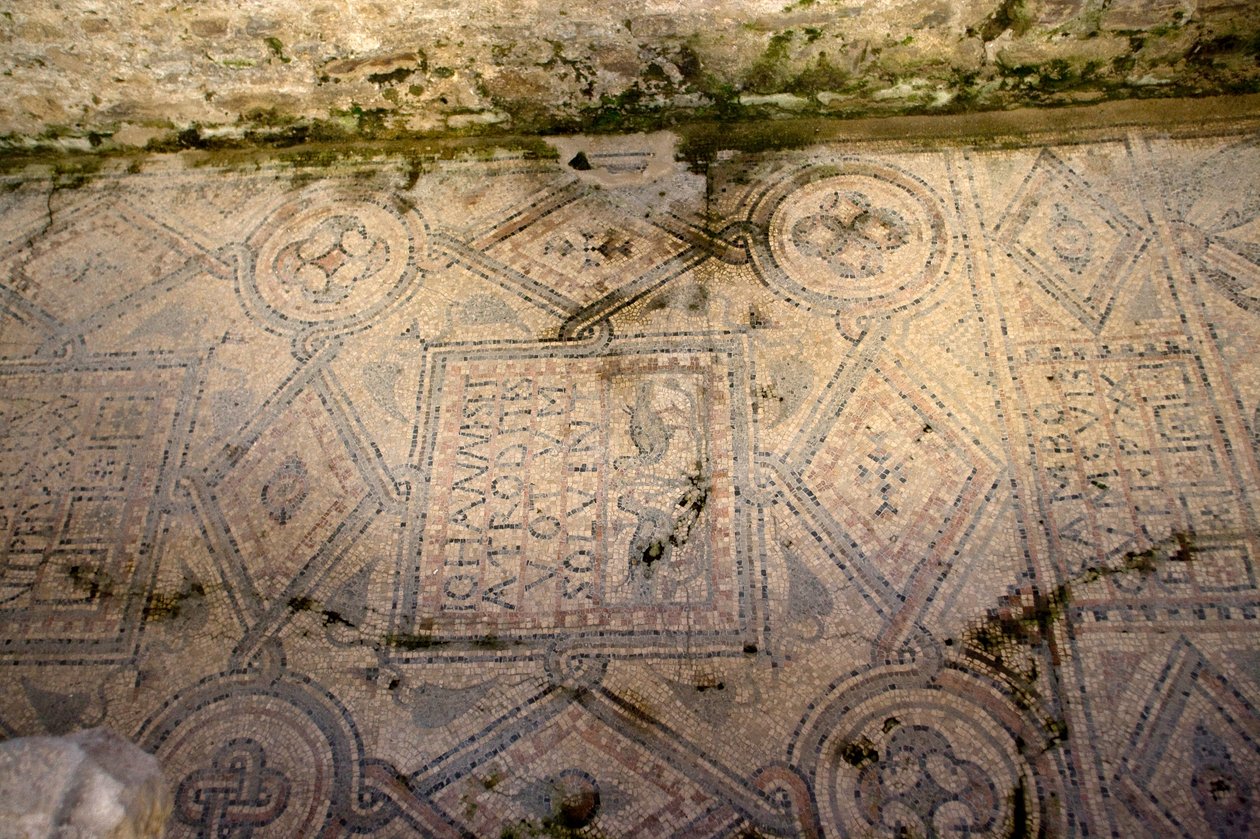 Detail of floor decoration (mosaic) 作者 学校意大利语