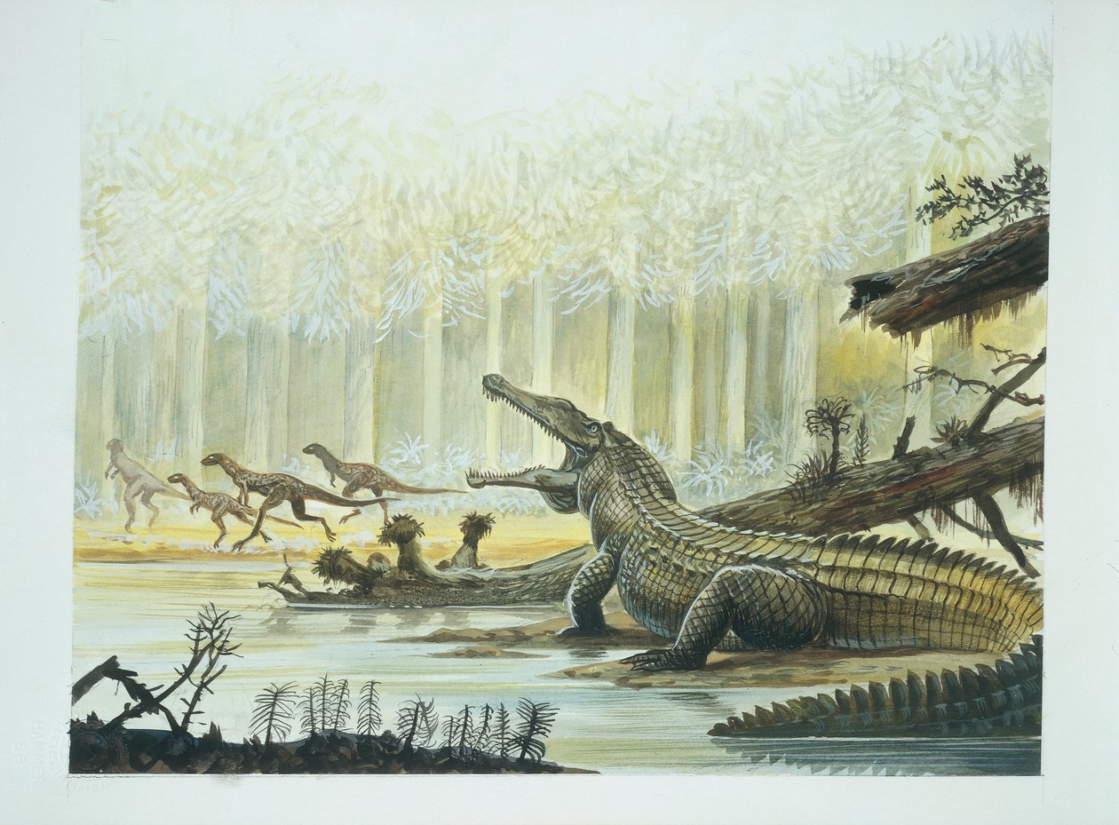 三叠纪时期的Rutiodon和背景中的Fabrosaurus（彩色平印）。 作者 学校意大利语