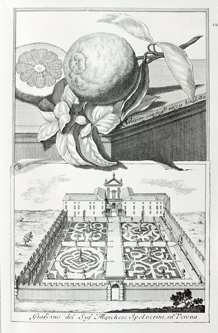 Villa of Marquis Spolverini of Verona, from "Villas, Gardens and Landscapes in Venice" by A. Volkamer (engraving) 作者 学校意大利语