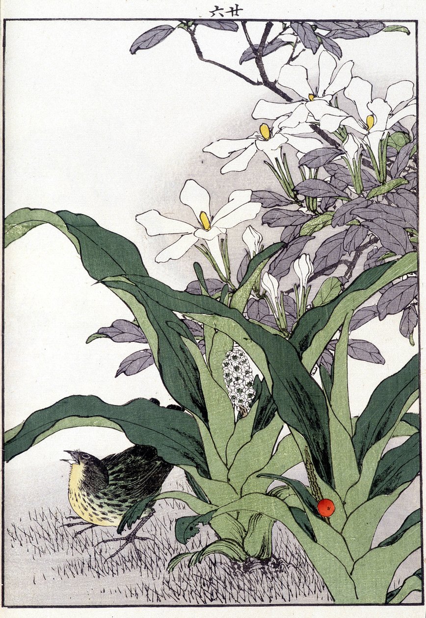 花中之鸟--日本版画 作者 日本学校