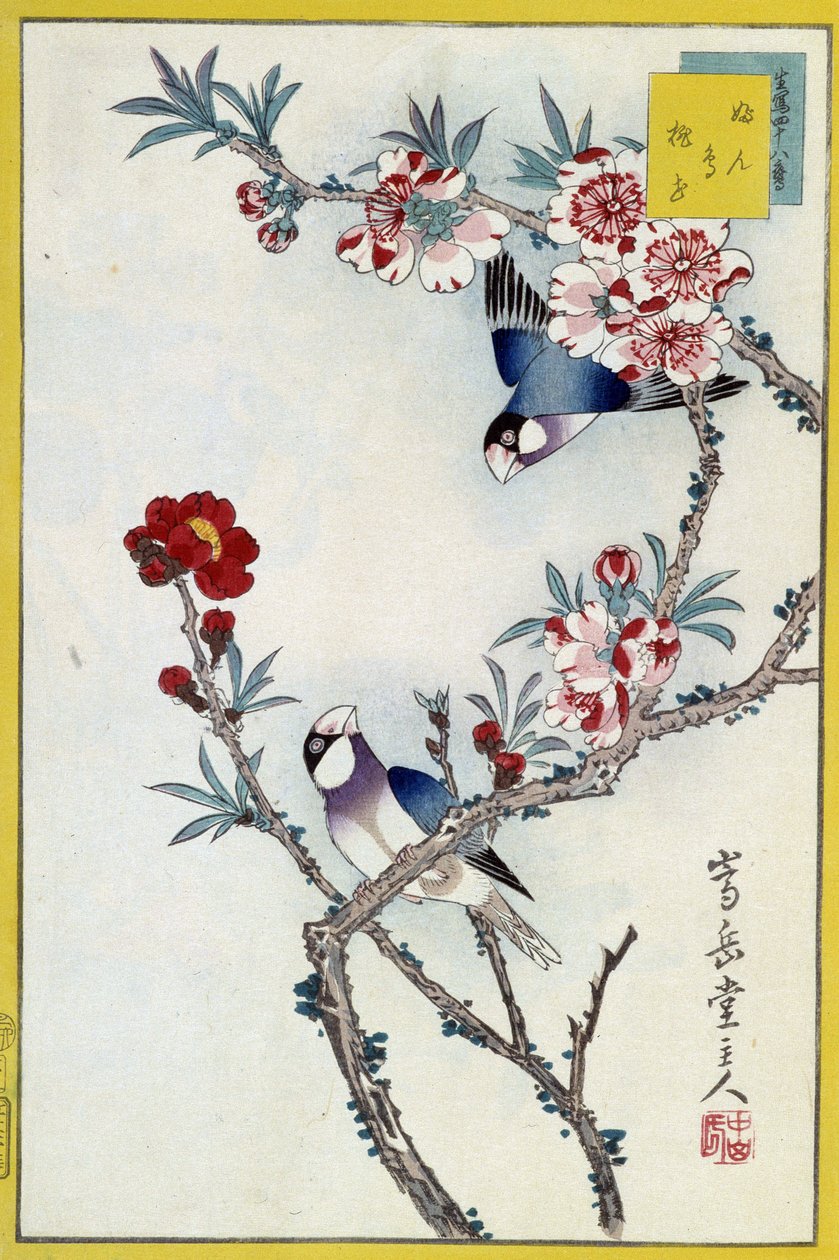 花树上的鸟儿 - 日本版画 作者 日本学校