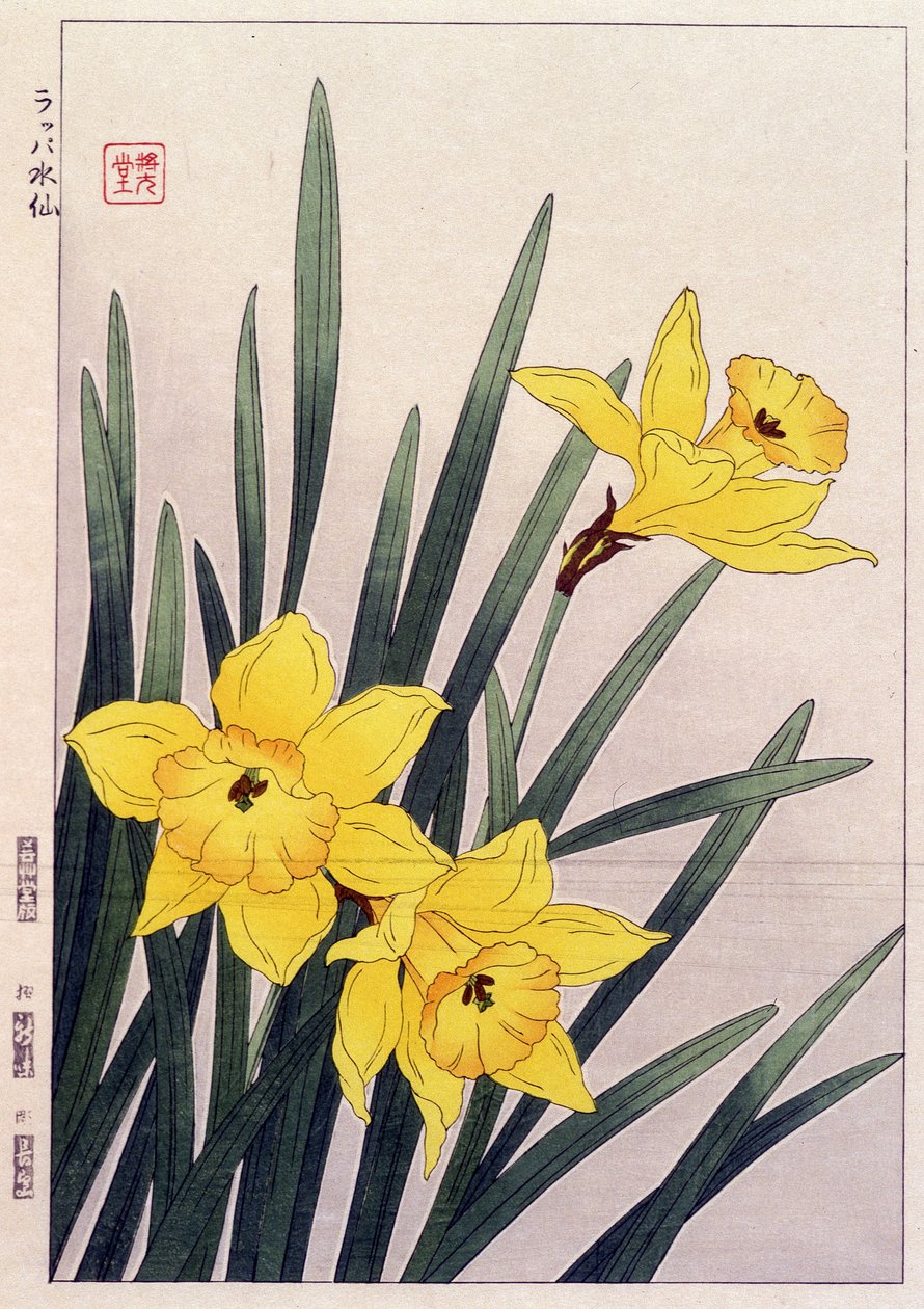 关闭的水仙花 - 日本印刷品 作者 日本学校