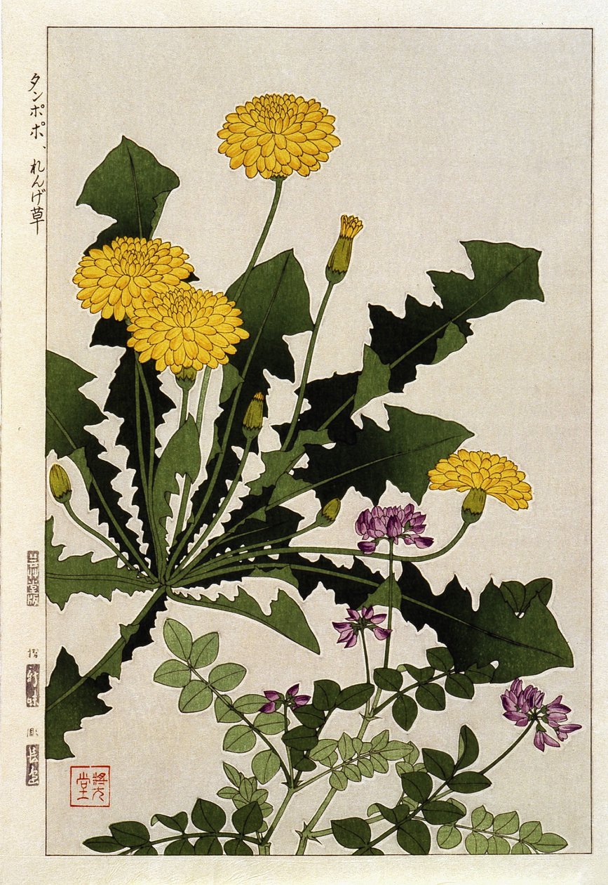 蒲公英花--日本印刷品 作者 日本学校