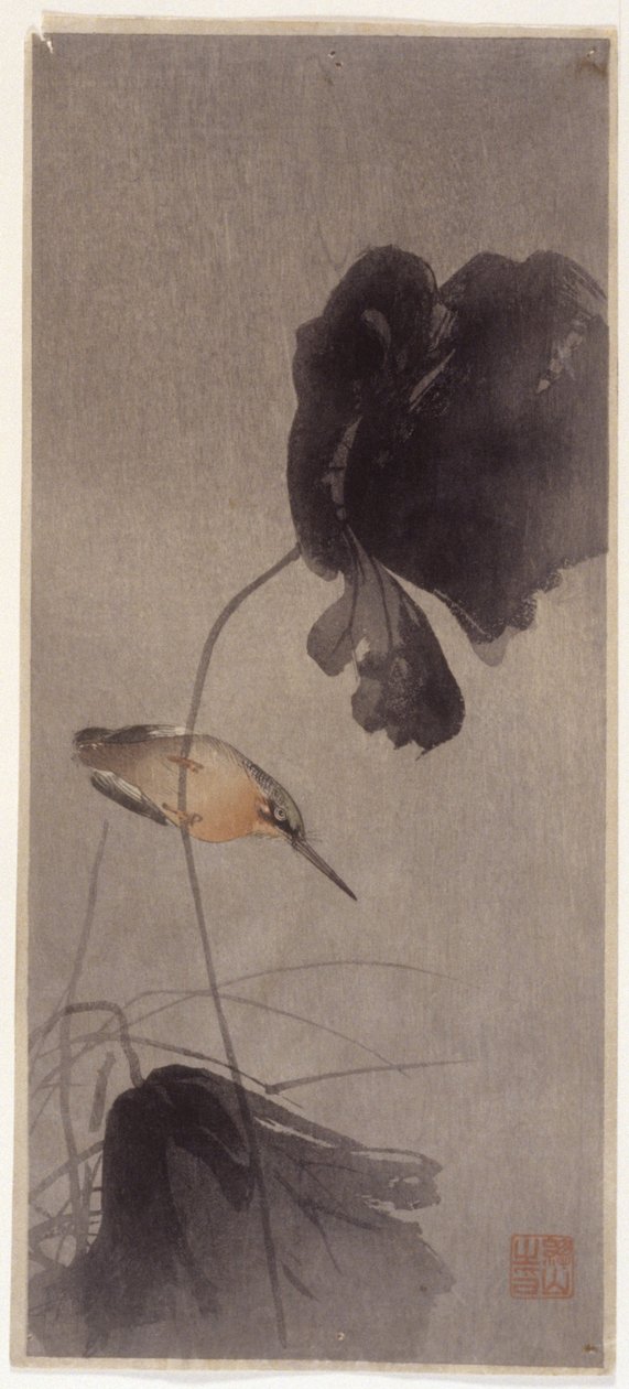 翠鸟 作者 学校日语
