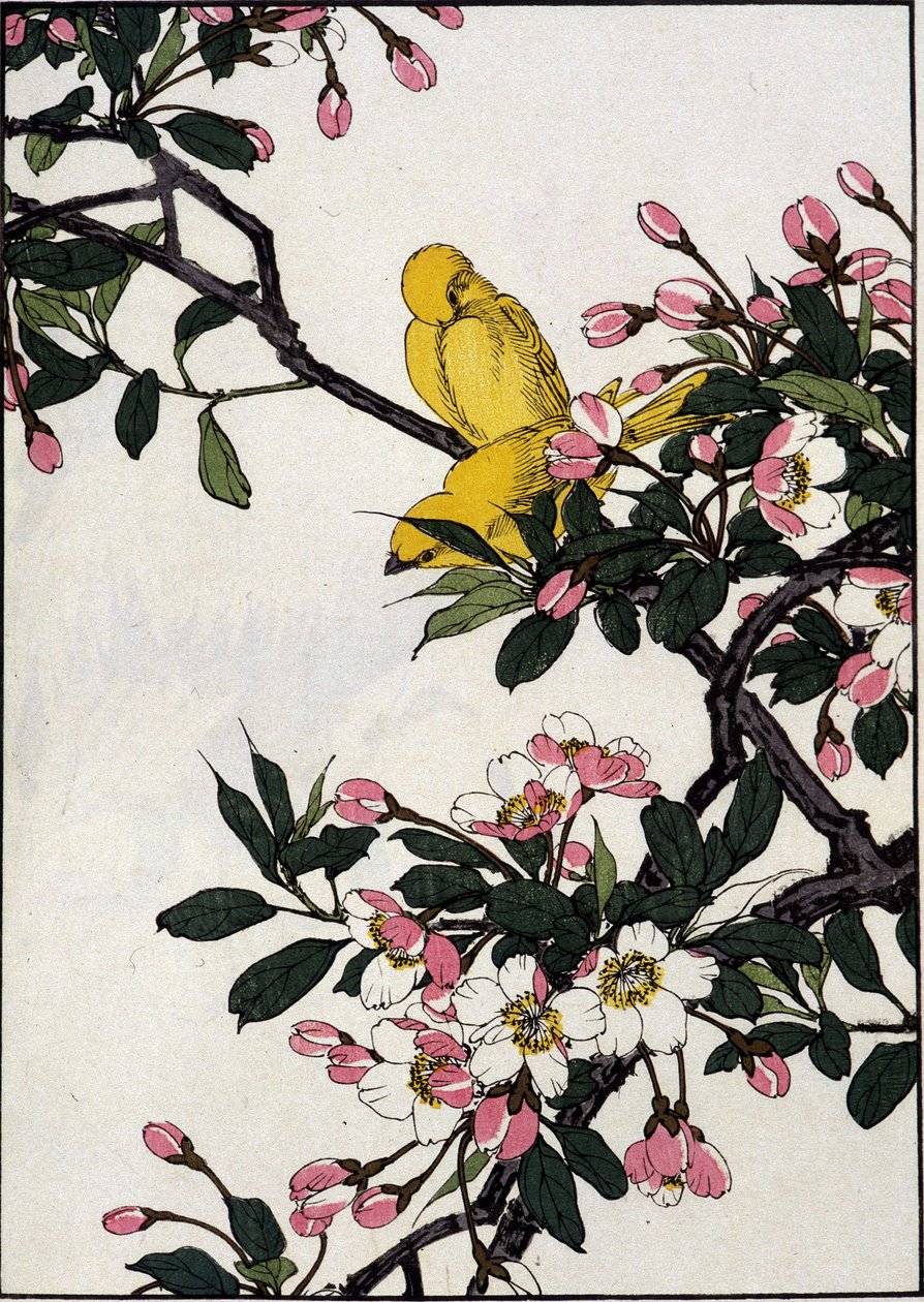 盛开的樱花枝上的蛇 - 日本版画 作者 日本学校