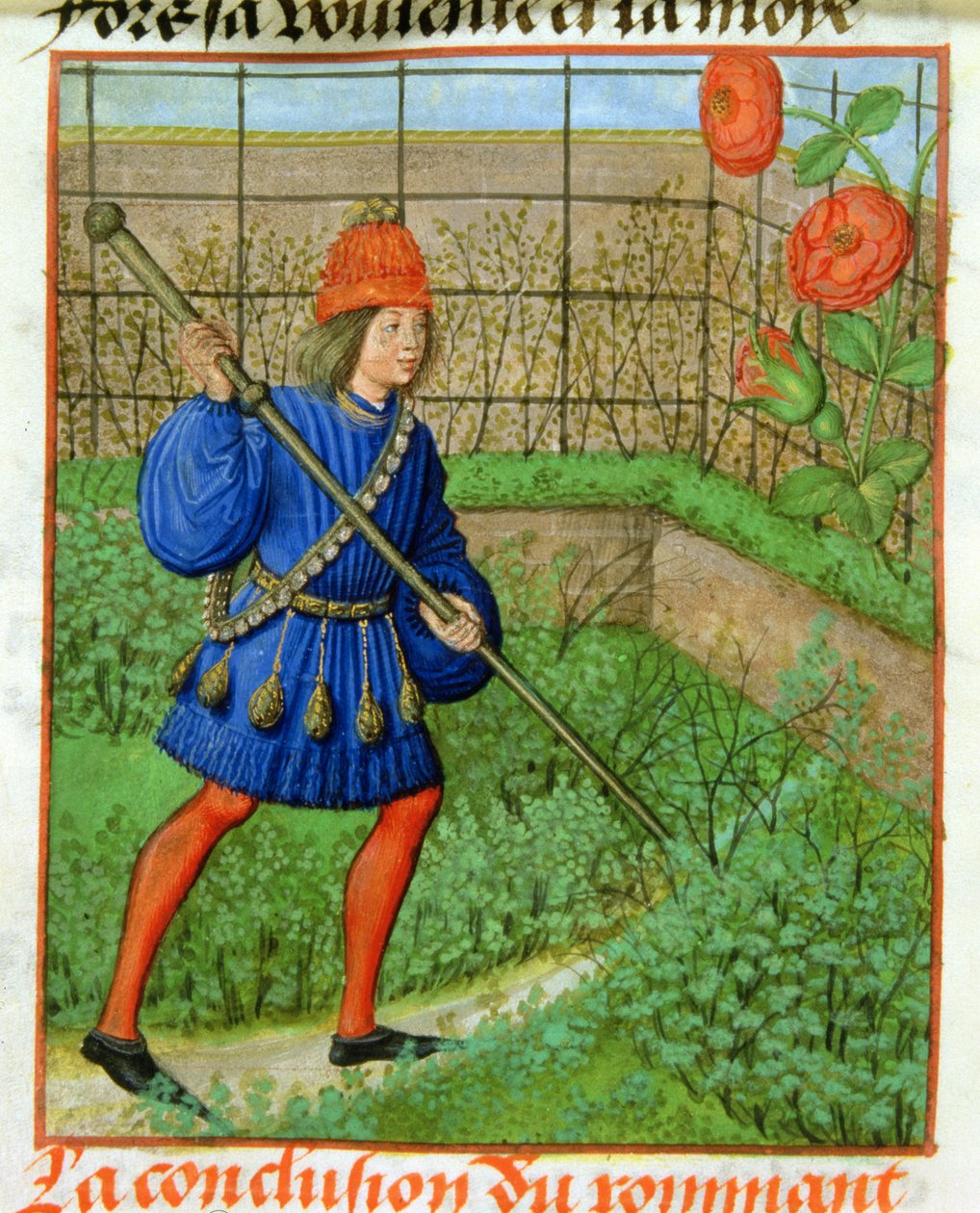 Harl 4425 f.184v 《情人获得玫瑰》，选自《玫瑰罗曼史》，布鲁日，约 1490-1500 年（牛皮纸） 作者 学校荷兰语