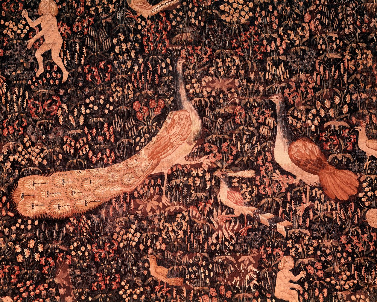 Seigneuriale Life的帷幕：描绘鸟类，孔雀的细节。 1520 年左右在荷兰制作的羊毛和丝绸挂毯。 Sun 2,6x3,7 m 巴黎，中世纪国家博物馆，Thermes de Cluny 作者 学校荷兰语