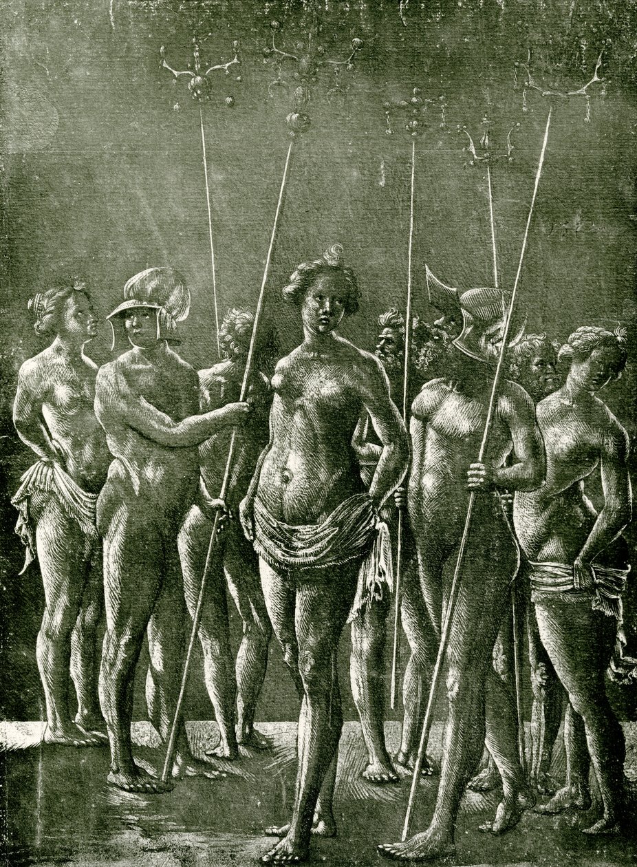 Unknown illustration after an Italian example 作者 学校荷兰语