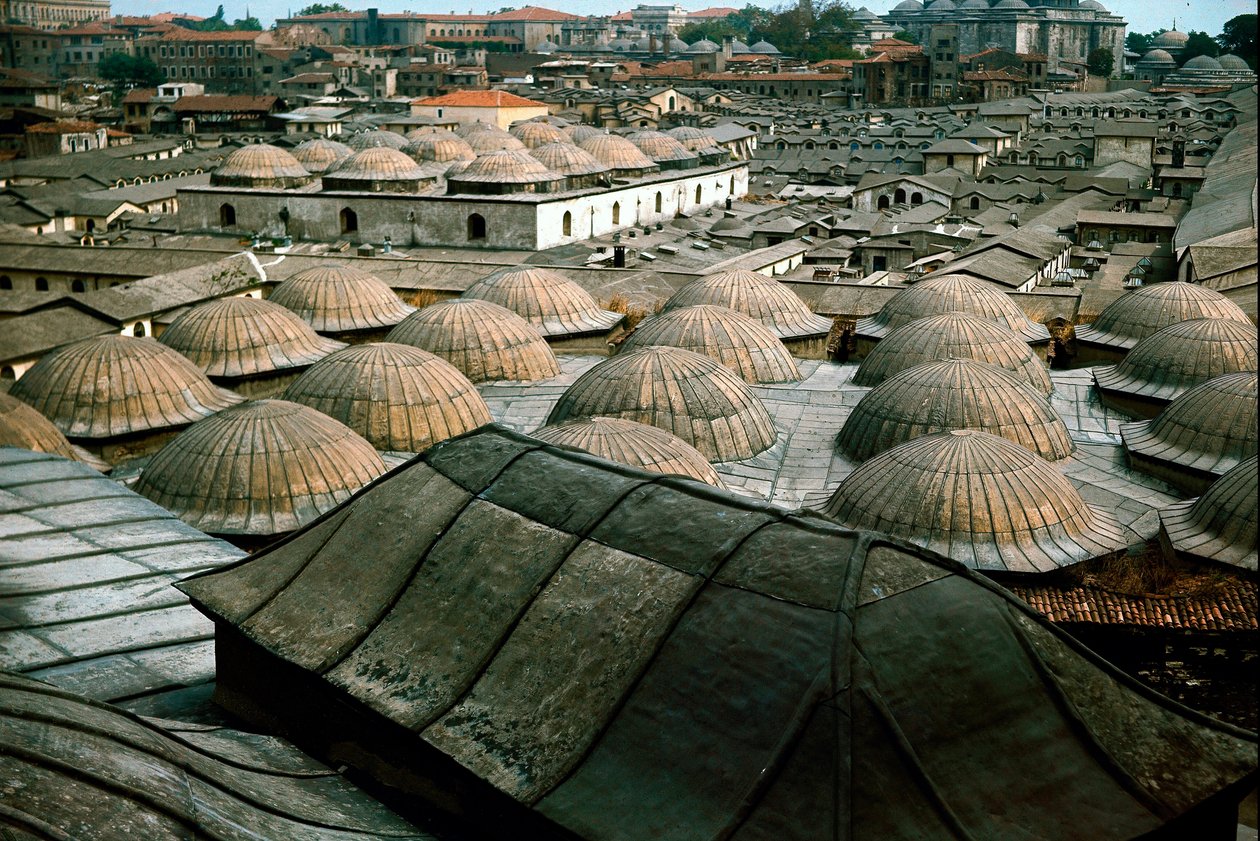 Panoramic view of Istanbul, with domes of the Great Bazaar 作者 校长