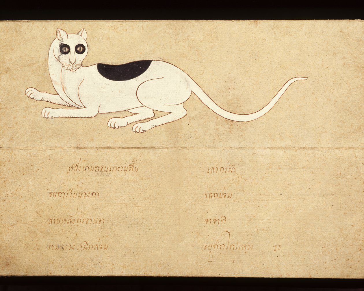 关于暹罗猫的手稿叶片，20 世纪初（纸面水彩画） 作者 泰语学校