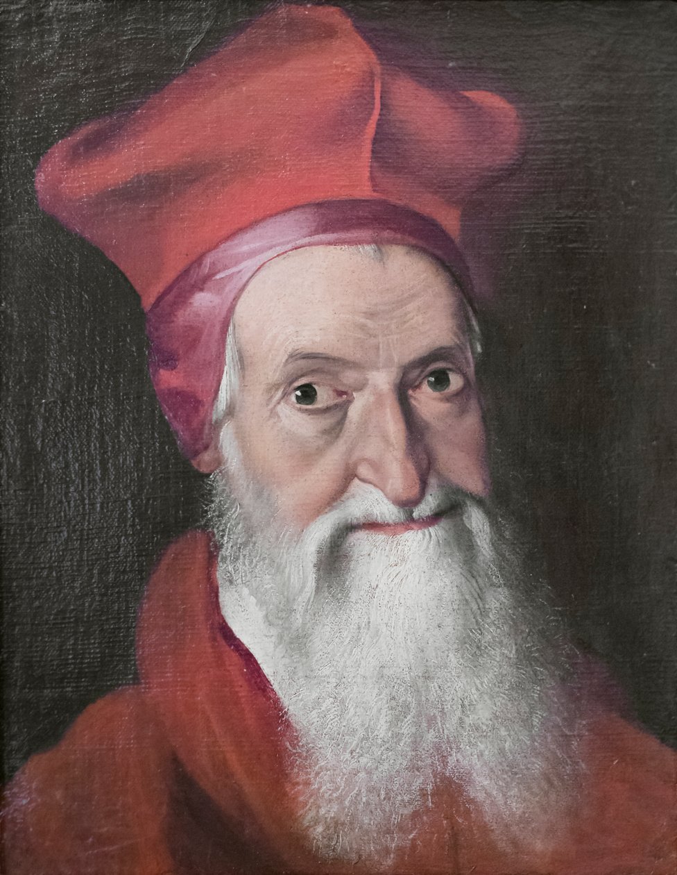 红衣主教多梅尼科·莫罗内的肖像 作者 Scipione (1550-98) 普尔佐内