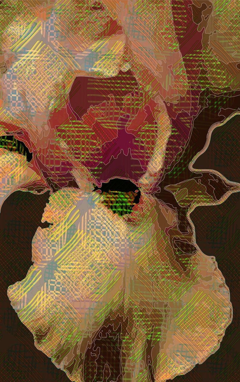 胡子虹膜 作者 斯科特·戴维斯（Scott J.Davis）
